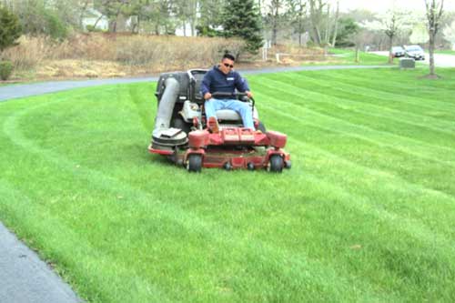 Lawn Cutting